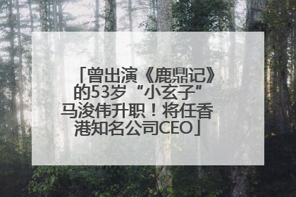 曾出演《鹿鼎记》的53岁“小玄子”马浚伟升职！将任香港知名公司CEO