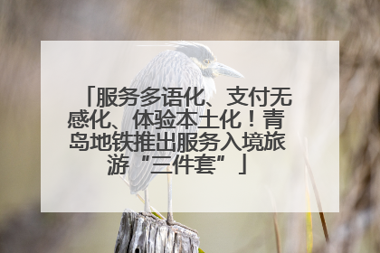 服务多语化、支付无感化、体验本土化！青岛地铁推出服务入境旅游“三件套”
