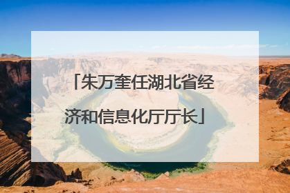 朱万奎任湖北省经济和信息化厅厅长