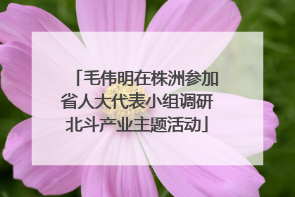 毛伟明在株洲参加省人大代表小组调研北斗产业主题活动