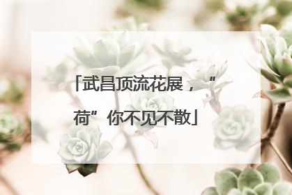 武昌顶流花展，“荷”你不见不散