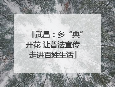 武昌：多“典”开花 让普法宣传走进百姓生活