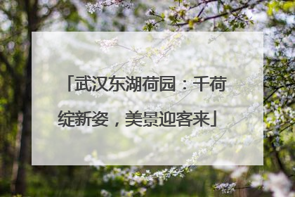 武汉东湖荷园：千荷绽新姿，美景迎客来