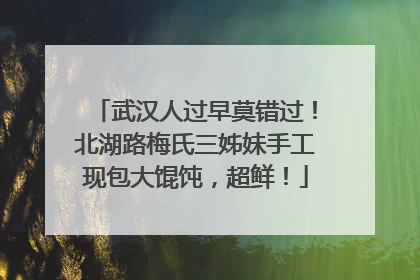 武汉人过早莫错过！北湖路梅氏三姊妹手工现包大馄饨，超鲜！