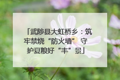 武陟县大虹桥乡：筑牢禁烧“防火墙” 守护夏粮好“丰”景