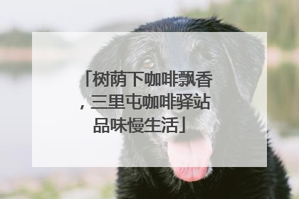 树荫下咖啡飘香，三里屯咖啡驿站品味慢生活