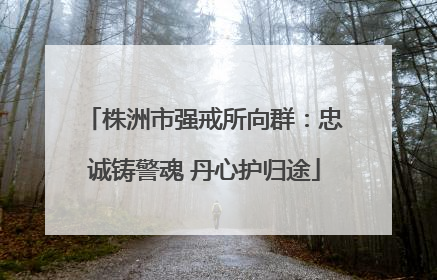 株洲市强戒所向群：忠诚铸警魂 丹心护归途