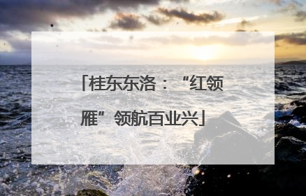 桂东东洛：“红领雁”领航百业兴