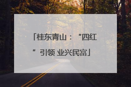 桂东青山：“四红”引领 业兴民富