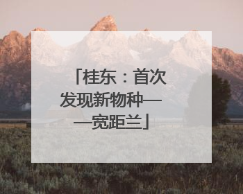 桂东：首次发现新物种——宽距兰