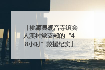 桃源县观音寺镇会人溪村党支部的“48小时”救援纪实