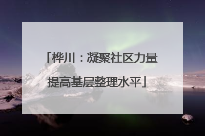 桦川：凝聚社区力量 提高基层整理水平