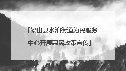 梁山县水泊街道为民服务中心开展惠民政策宣传