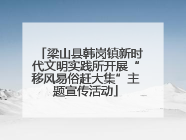 梁山县韩岗镇新时代文明实践所开展“移风易俗赶大集”主题宣传活动