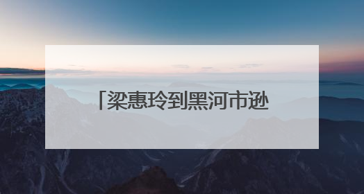 梁惠玲到黑河市逊克县和孙吴县调研
