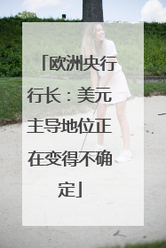 欧洲央行行长：美元主导地位正在变得不确定