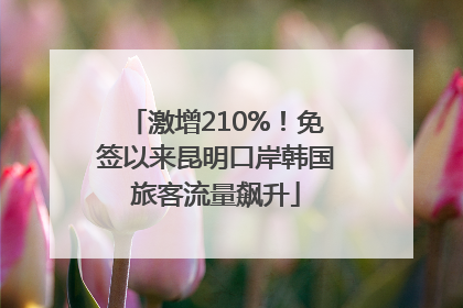 激增210%！免签以来昆明口岸韩国旅客流量飙升