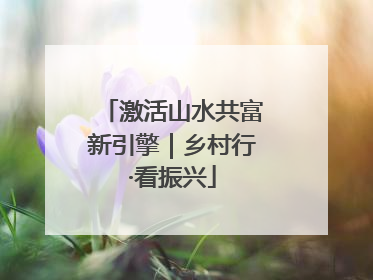 激活山水共富新引擎｜乡村行·看振兴