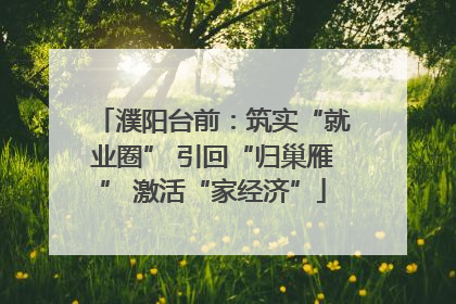 濮阳台前：筑实“就业圈” 引回“归巢雁” 激活“家经济”