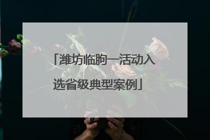 潍坊临朐一活动入选省级典型案例