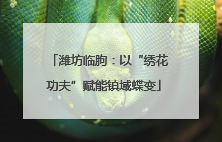 潍坊临朐：以“绣花功夫”赋能镇域蝶变