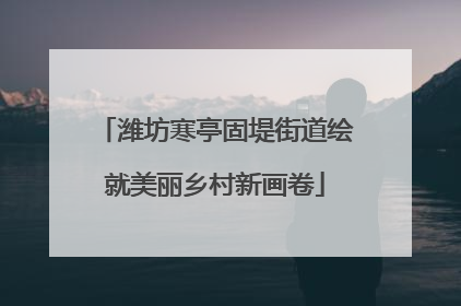 潍坊寒亭固堤街道绘就美丽乡村新画卷