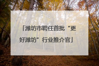 潍坊市聘任首批“更好潍坊”行业推介官