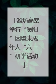 潍坊高密举行“暖阳”困境未成年人“六一”研学活动