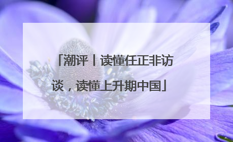 潮评丨读懂任正非访谈，读懂上升期中国