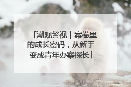 潮观警视｜案卷里的成长密码，从新手变成青年办案探长
