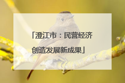 澄江市：民营经济创造发展新成果