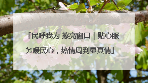 民呼我为 擦亮窗口｜贴心服务暖民心，热情周到显真情