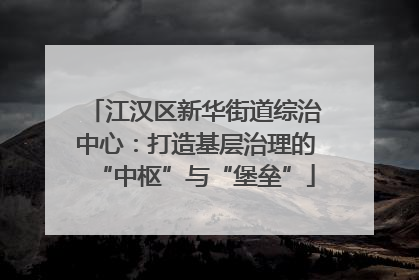江汉区新华街道综治中心：打造基层治理的“中枢”与“堡垒”