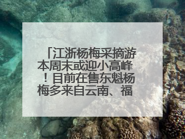 江浙杨梅采摘游本周末或迎小高峰！目前在售东魁杨梅多来自云南、福建，浙江露天东魁杨梅6月中旬大量上市