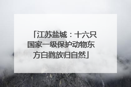 江苏盐城：十六只国家一级保护动物东方白鹳放归自然