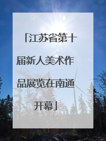 江苏省第十届新人美术作品展览在南通开幕