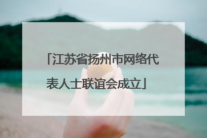 江苏省扬州市网络代表人士联谊会成立