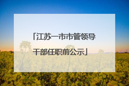 江苏一市市管领导干部任职前公示