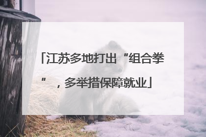 江苏多地打出“组合拳”，多举措保障就业