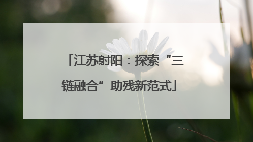 江苏射阳：探索“三链融合”助残新范式