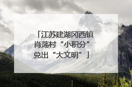 江苏建湖冈西镇肖荡村“小积分”兑出“大文明”