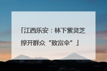 江西乐安：林下紫灵芝撑开群众“致富伞”
