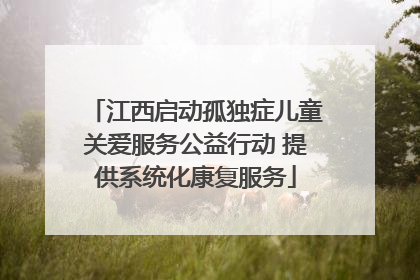 江西启动孤独症儿童关爱服务公益行动 提供系统化康复服务