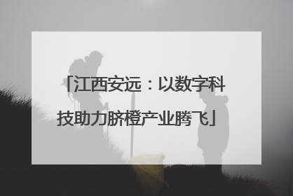 江西安远：以数字科技助力脐橙产业腾飞
