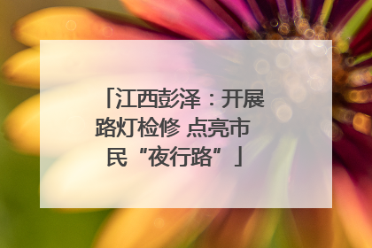 江西彭泽：开展路灯检修 点亮市民“夜行路”