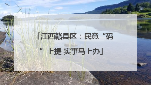 江西赣县区：民意“码”上提 实事马上办