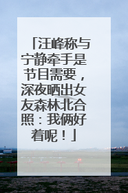 汪峰称与宁静牵手是节目需要，深夜晒出女友森林北合照：我俩好着呢！