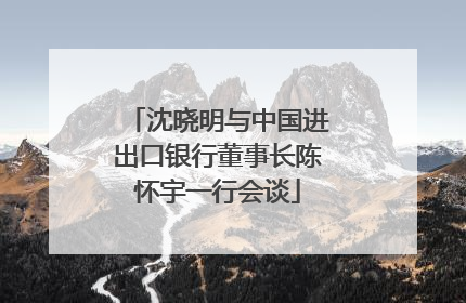 沈晓明与中国进出口银行董事长陈怀宇一行会谈