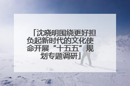 沈晓明围绕更好担负起新时代的文化使命开展“十五五”规划专题调研