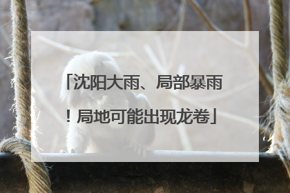 沈阳大雨、局部暴雨！局地可能出现龙卷